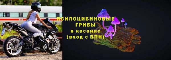 шишки Абаза