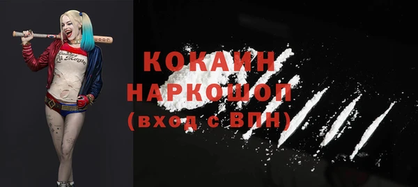 шишки Абаза