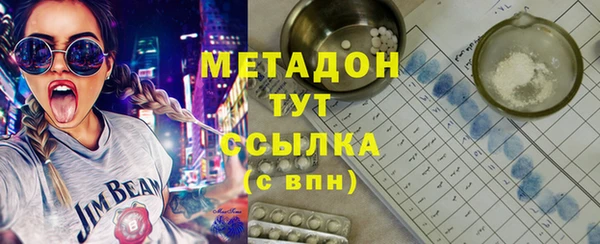 шишки Абаза