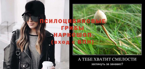 apvp Абинск