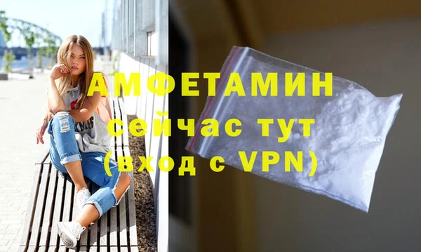 шишки Абаза